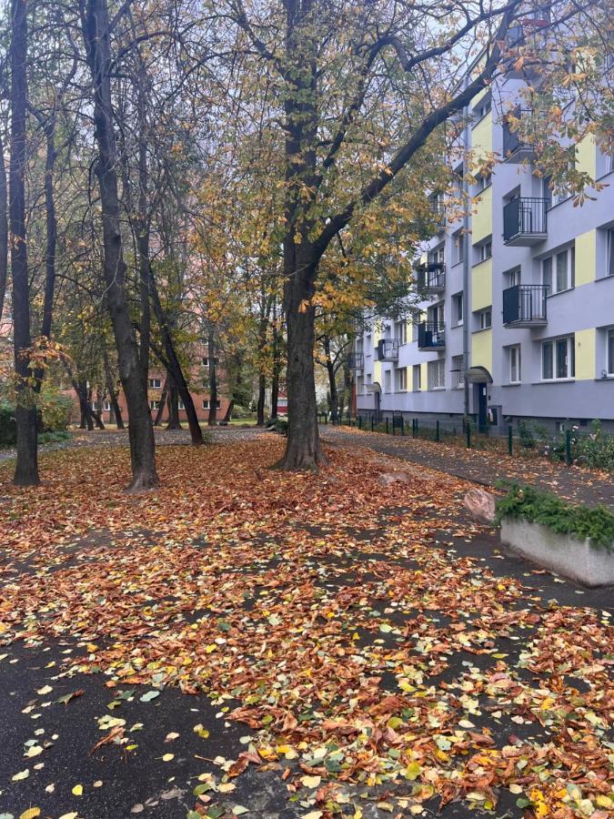 Yellow Apartment Airport Galeria Mokotow Netflix Varşova Dış mekan fotoğraf